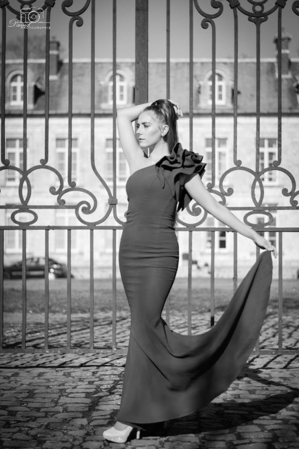 Chateau De Plessier-Roza Le Plessier-Rozainvillers Экстерьер фото